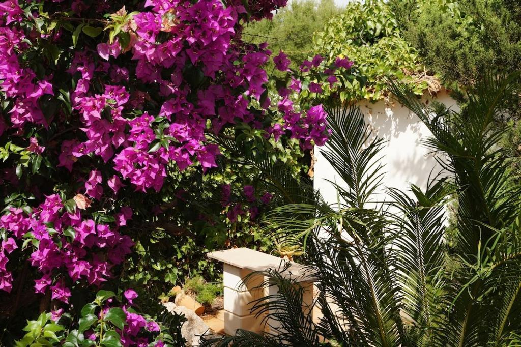 Villa Cala Mendia Cala Mandia  Экстерьер фото