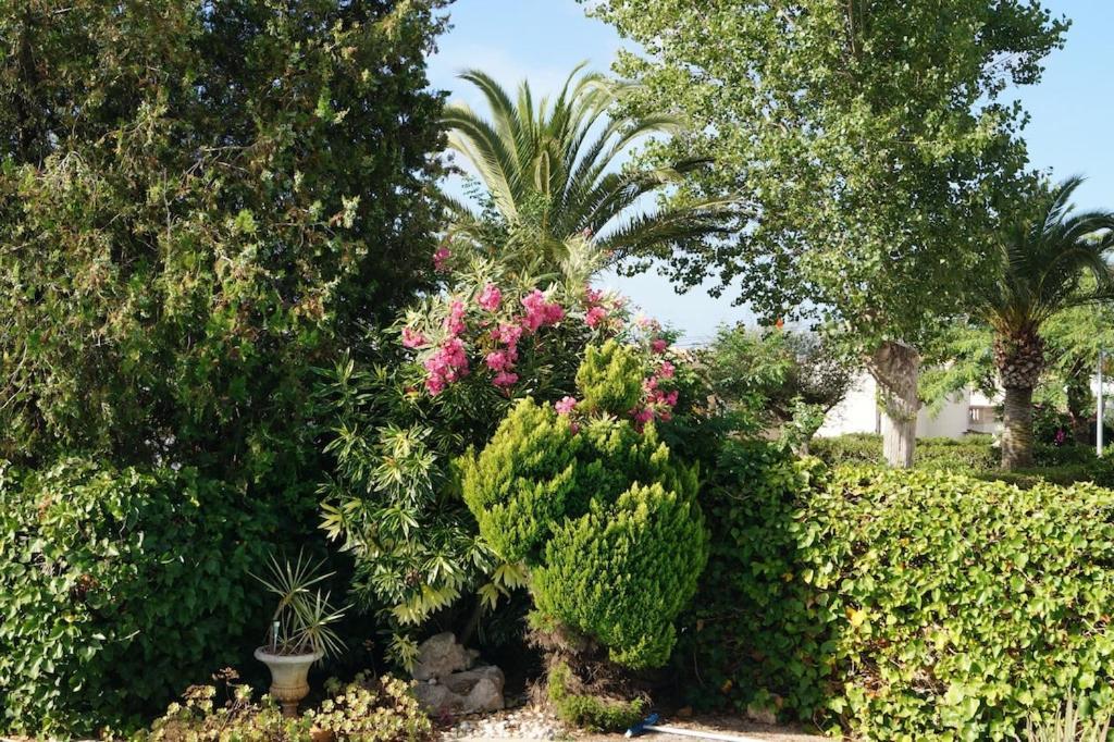 Villa Cala Mendia Cala Mandia  Экстерьер фото